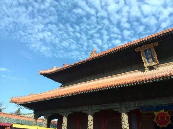 山东，美丽家园的深情呼唤