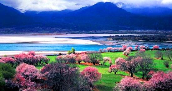 西藏,神秘高原的历史与文化探秘