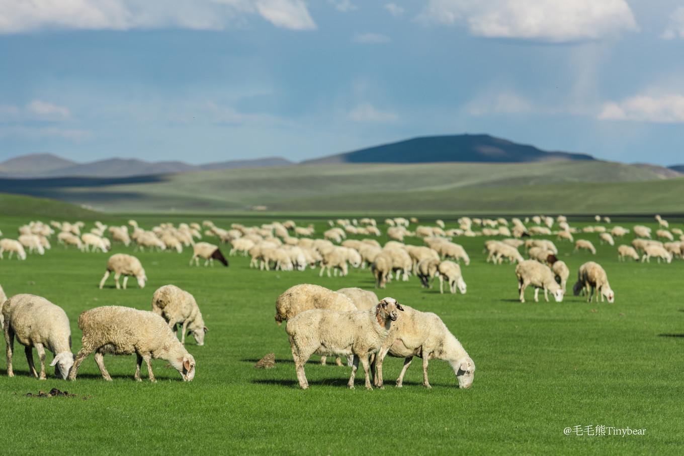 呼伦贝尔，草原之美与风情之旅